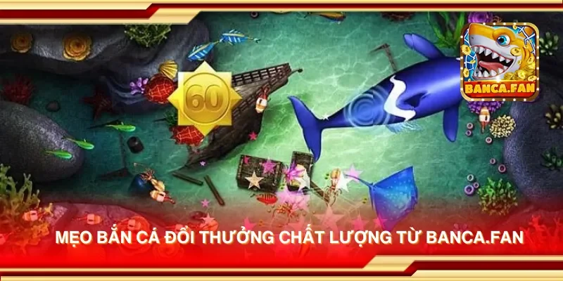 Mẹo bắn cá đổi thưởng chất lượng từ fabulousflowers.tv