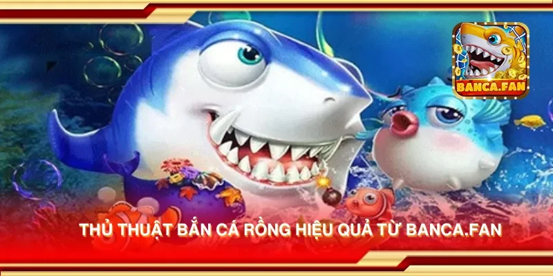 Thủ thuật bắn cá rồng hiệu quả từ fabulousflowers.tv